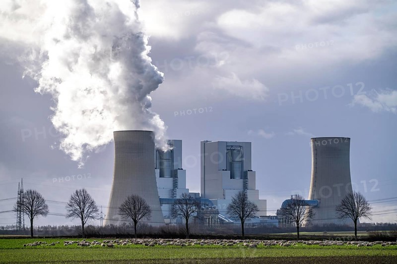 RWE Power lignite-fired power plant Neurath, near Grevenbroich, power plant units F and G, cooling towers, country road, sheep on a pasture in front of the lignite-fired power plant, North Rhine-Westphalia, Germany, Europe