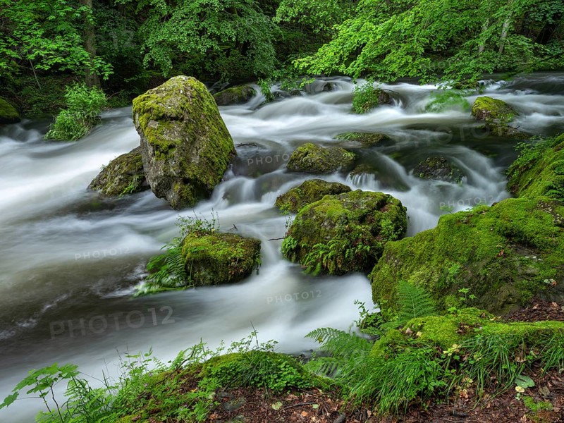 White water and rapids on the Trieb stream in the Triebtal nature reserve in Vogtland, Plauen, Saxony, Germany, Europe