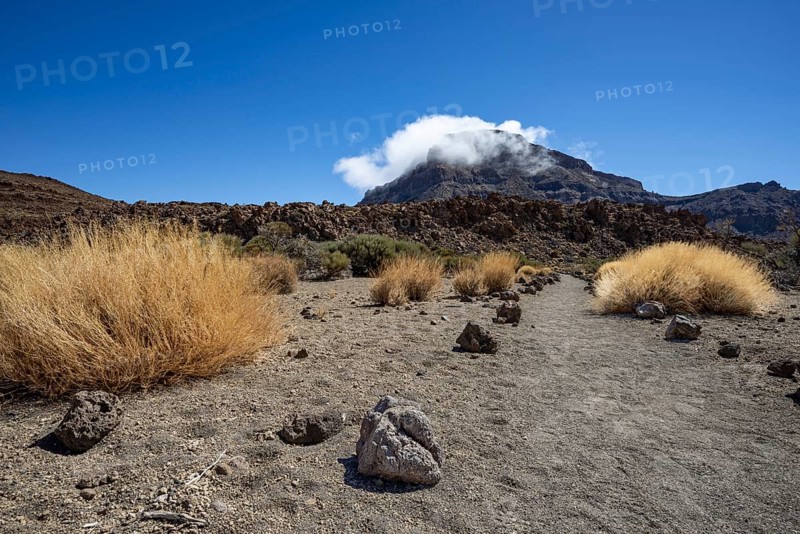 Faded Teide gorse and the summit of Montaña Guajara, also: Alto de Guajara, 2715m, crater walls, Caldera de las Cañadas, a huge volcanic cauldron, Teide National Park, Parque Nacional del Teide, Tenerife, Canary Islands, Spain, Europe