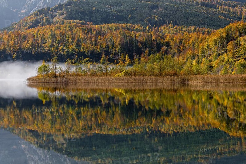Lake Almsee in autumn with a forest reflected in the lake. A slowly dissipating fog moves over the lake