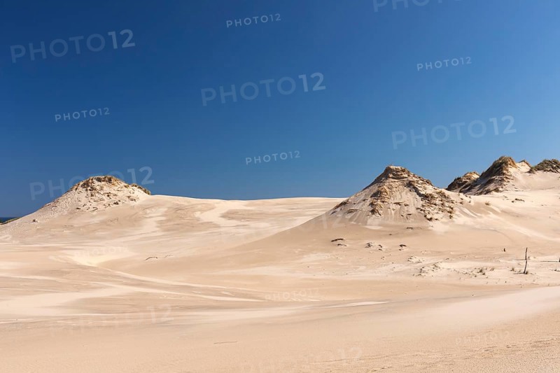 Lacka Dune on a sunny day with a blue sky in the Slowinski National Park, northern Poland on the Baltic Sea coast. 42 metres high and moving at a rate of 3 to 10 metres per year