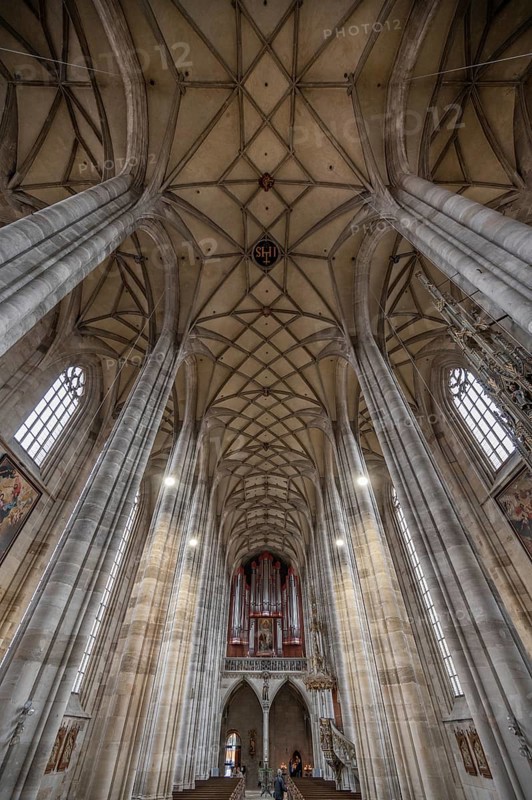 Reticulated vault and organ loft of the late Gothic hall church of St George, Dinkelsbühl, Bavaria, Germany, Europe