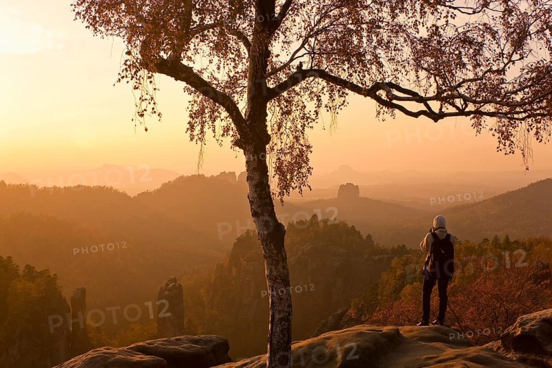 View from the Carola rock into the Schrammstein area in the back of Saxon Switzerland