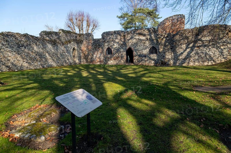 Ruins of a small Augustinian priory founded c 1216, St Olaves Priory, Norfolk, England, UK