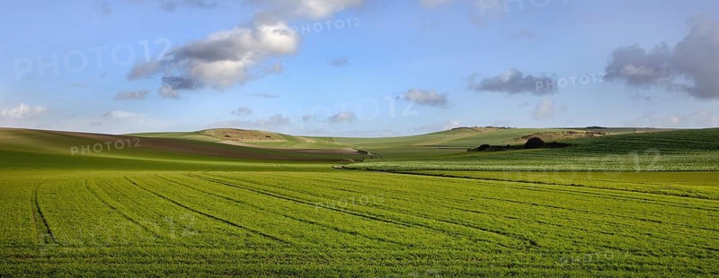 Agricultural landscape showing fields at the French Opal Coast, Côte d'Opale, France, Europe
