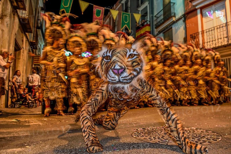 Person in a tiger costume, historical procession of Moors and Christians Parade, Moros y Cristianos, Jijona or Xixona, Province of Alicante, Costa Blanca, Spain, Europe