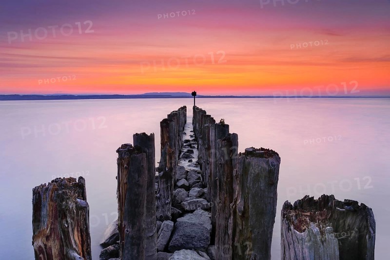 Ancient wooden piles in Lake Constance at sunrise against the light, near Altnau in the canton of Thurgau, Switzerland, Europe