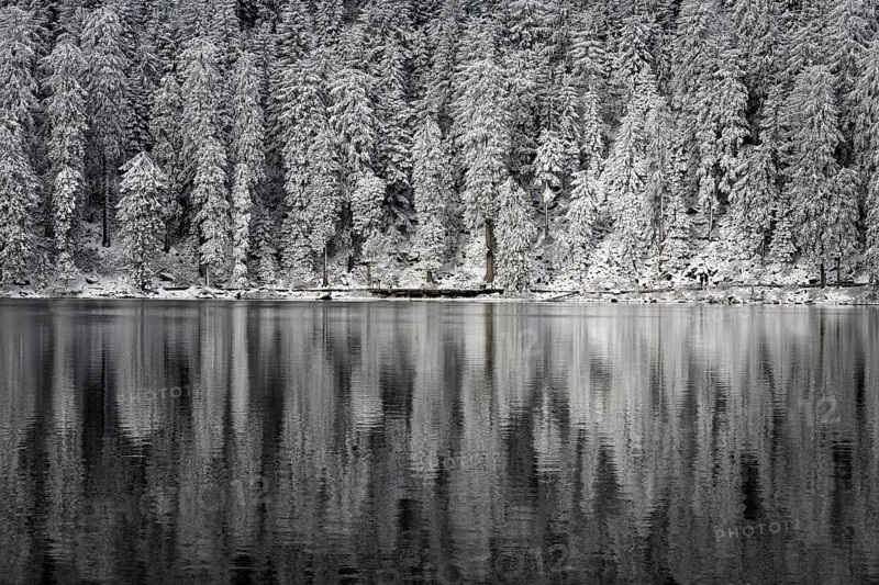Winter landscape at Mummelsee, reflection of the forest, near Seebach, Black Forest, Ortenaukreis, Baden-Württemberg, Germany, Europe