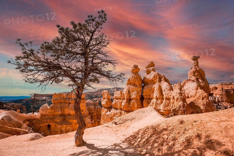 Trekking Queens Garden Trail in Bryce National Park, Utah. United States