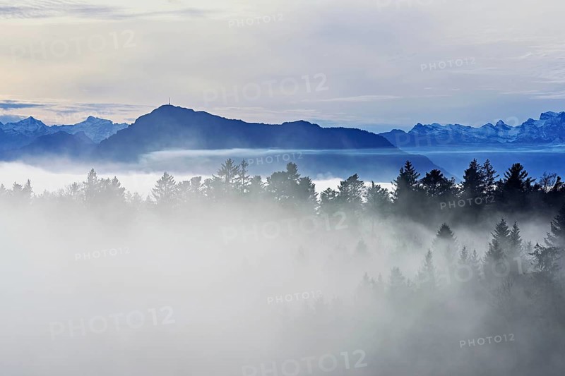 Forest shrouded in fog, the Rigi in the background, Horben viewpoint, Lindenberg, Freiamt, Canton Aargau, Switzerland, Europe