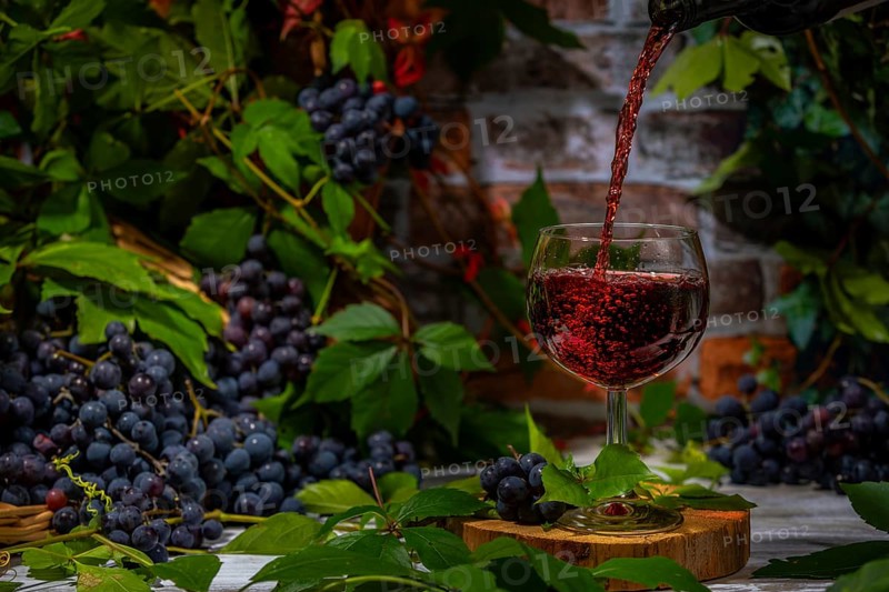 Pouring wine into glass surrounded by blue burgundy grapes in front of brick wall with leaves
