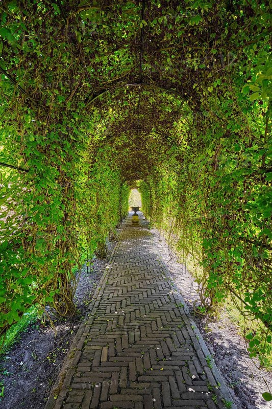 Green berceau arbour trellis overgrown garden path arcade arch way in Keukenhof garden. Lisse, Netherlands