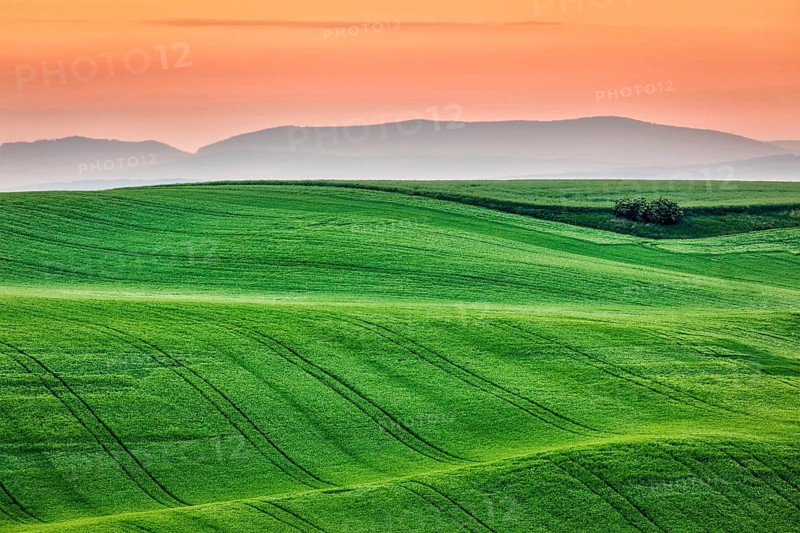 Moravian rolling landscape on sunrise. South Moravia, Czech Republic, Europe
