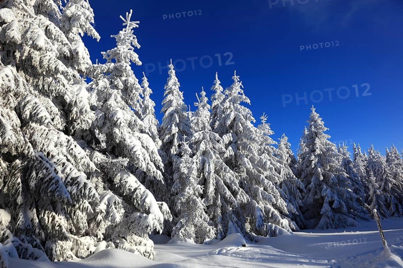 Winter landscape in the Fichtelgebirge, Bayreuth district, Upper Franconia, Bavaria, Germany, Europe