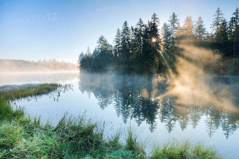 Rays of sunshine make their way through forest and fog at the mirror-smooth moorland lake Étang de la Gruère in the canton of Jura, Switzerland, Europe