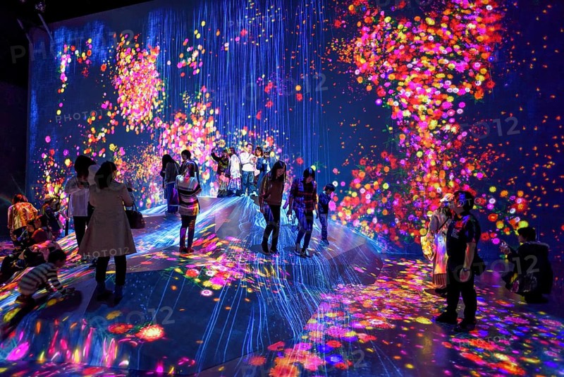 Digital Art Museum, Epson Team Lab Borderless, Odaiba Island, Tokyo, Japan, Asia