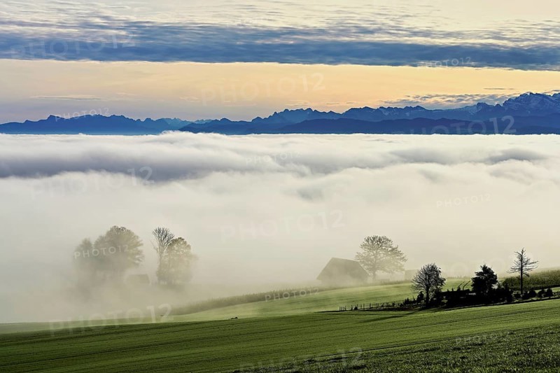 Fog over the Reuss valley, behind the snow-covered Alps, Schlatt, Freiamt, Canton Aargau, Switzerland, Europe