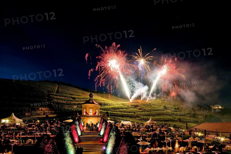 Summer night ball at Wackerbarth Castle. Schloss Wackerbarth or Wackerbarths Ruh' is a baroque castle surrounded by vineyards in the Niederlößnitz district of Radebeul on the road to Meissen, which serves as the seat of the Saxon State Winery. The winery belongs to the large Lößnitz vineyard and is located in the single vineyard Radebeuler Johannisberg
