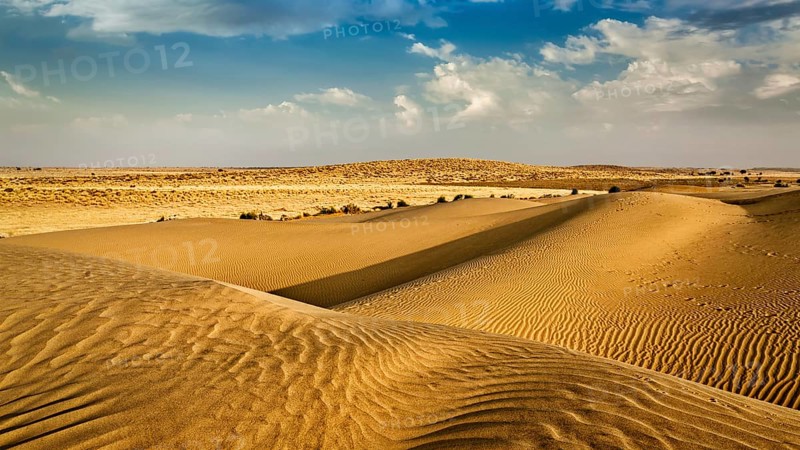 Panorama of dunes of Thar Desert. Sam Sand dunes, Rajasthan, India, Asia