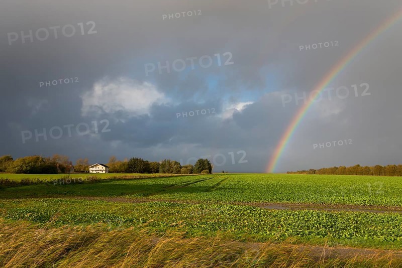 Rainbow at Storvorde, Sejlflod, Aalborg, Nordjylland, North Jutland, Limfjord, Denmark, Europe