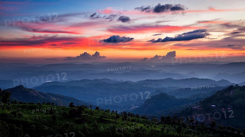 Panorama of sunset in mountains with tea plantations. Munnar, Kerala, India, Asia