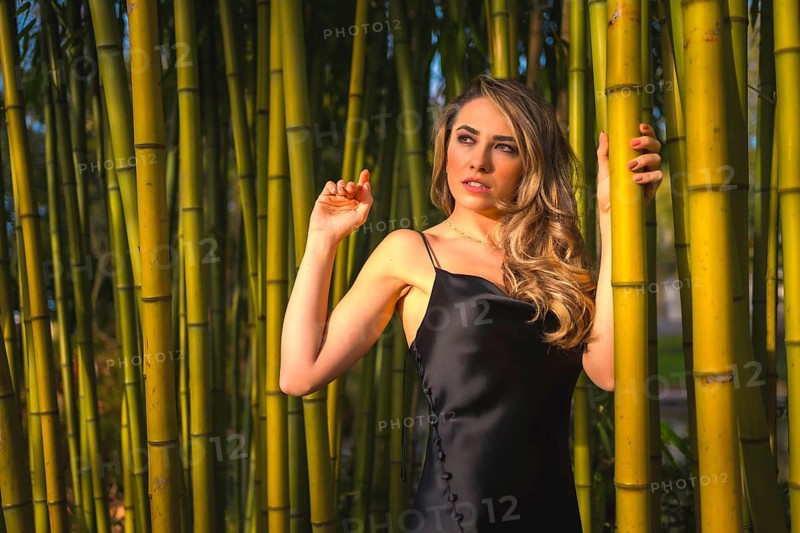 Portrait of a Caucasian girl in a black dress in a bamboo forest