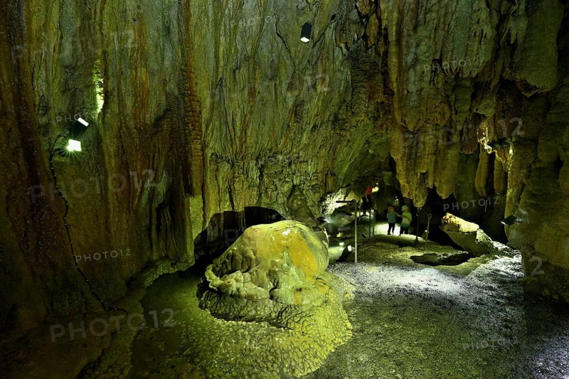 Arched turtle and crocodile, calcite formations, landmark of the grotto, stalactite cave, Höllgrotten, Baar, Canton Zug, Switzerland, Europe
