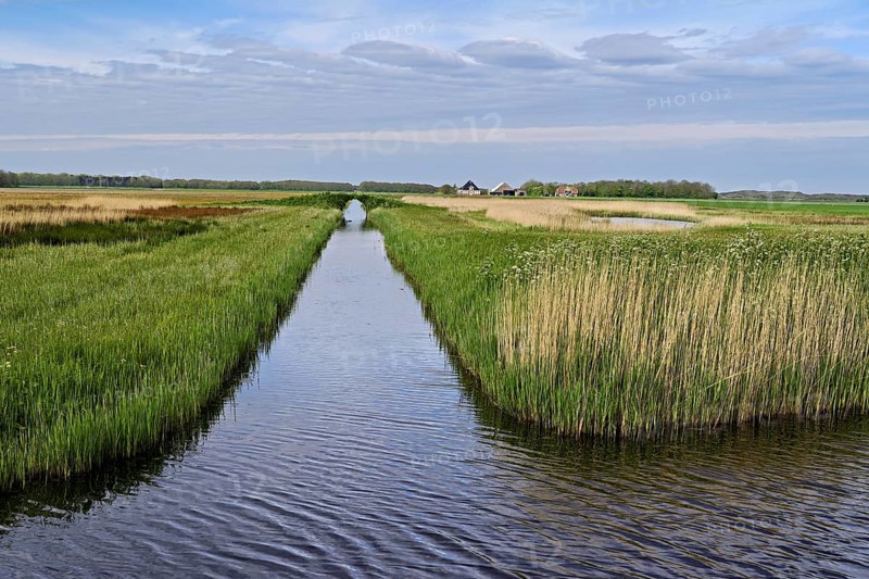 Man-made drainage canal, Texel, West Frisian Island, Province of North Holland, Holland Netherlands