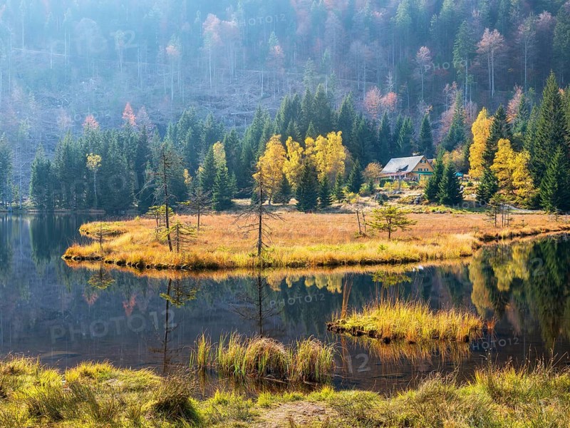 Kleiner Arbersee in autumn with Gasthof Seehäusl, Bavarian Forest, Lower Bavaria, Bavaria, Germany, Europe