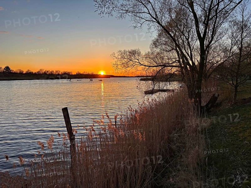 Romantic sunset over a river with trees and reeds on the banks, Gartow, Wendland, Lower Saxony, Germany, Europe