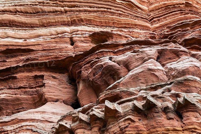 Eroded red sandstone, old castle rock, close-up, natural and cultural monument, Brechenberg near Eppenbrunn, Palatinate Forest, Rhineland-Palatinate, Germany, Europe
