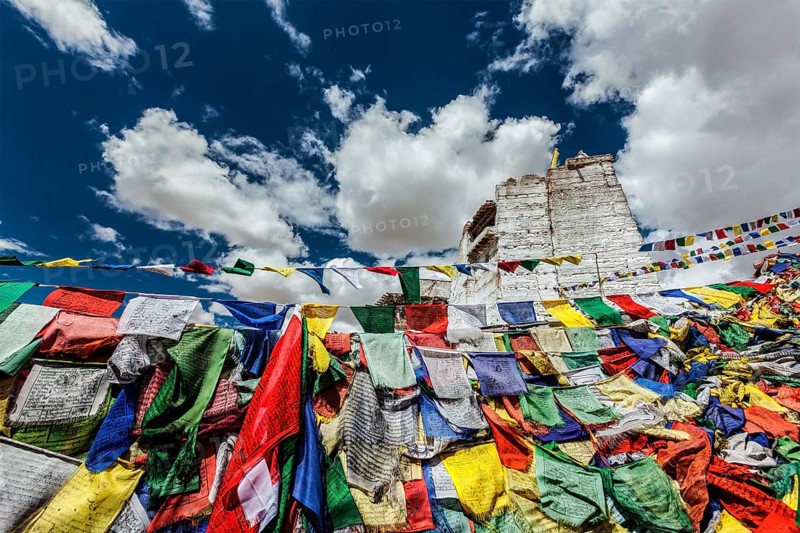 Ruins of Victory Fort Tsemo on the cliff of Namgyal hill and colorful Buddhist prayer flags with Buddhism mantra written on them. Leh, Ladakh, Jammu and Kashmir, India, Asia