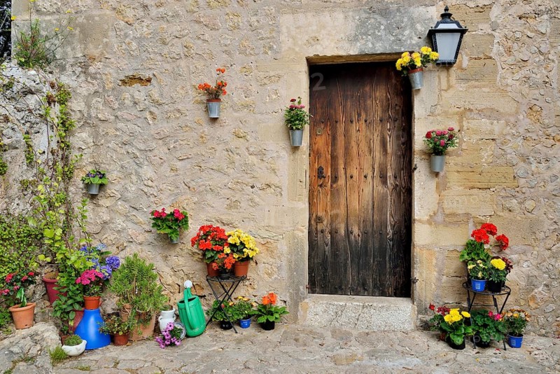 Flowerpots in front of a house, Pollenca, Majorca, Balearic Islands, Spain, Europe