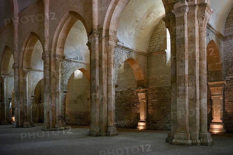 Nave of the Cistercian Abbey of Fontenay, Unesco World Heritage Site, Cote d'Or, Burgundy, France, Europe