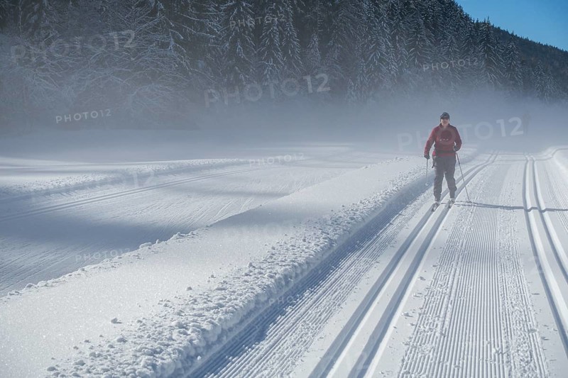 Perfect track on the cross-country circuit alte Mühle, Ramsau am Dachstein, Styria, Austria, Europe