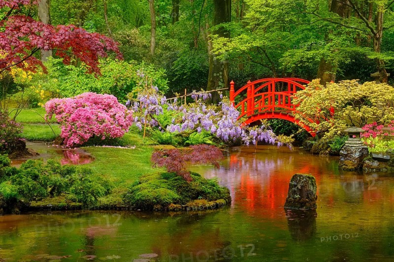 Small bridge in Japanese garden, Park Clingendael, The Hague, Netherlands