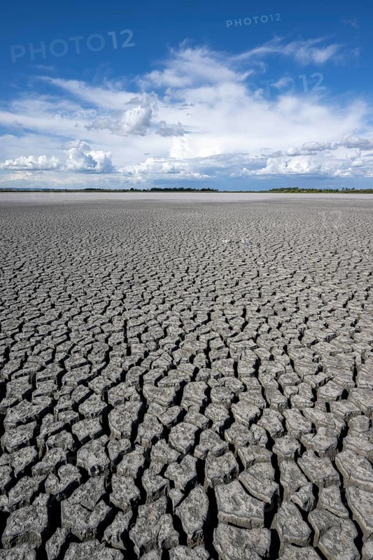 Cracked earth, heavily dried out Zicksee, Lake Neusiedl-Seewinkel National Park, Burgenland, Austria, Europe