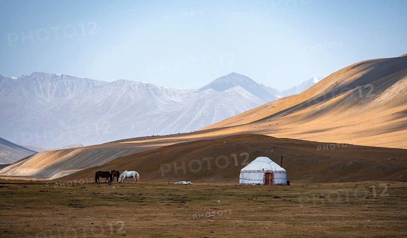 Horses at a traditional Kyrgyz yurt between golden meadows, Burkhan Valley, Terskey Ala-Too, Tien Shan, Issyk Kul Province, Kyrgyzstan, Asia