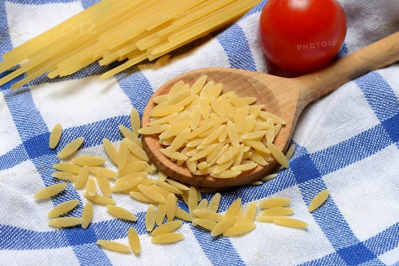 Semi di Orzo, Italian pasta in the form of barley grains, and spaghetti, pasta from Italy