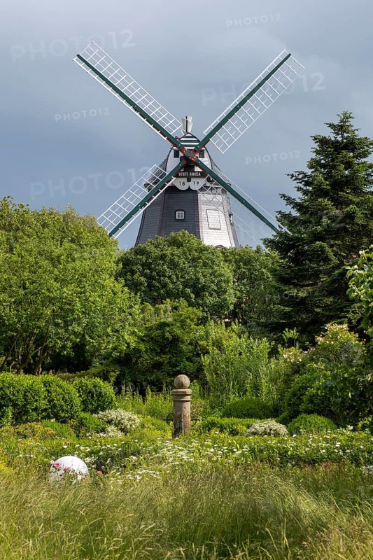 Historic windmill, Park an der Mühle, Wyk, Föhr, North Sea island, North Frisia, Schleswig-Holstein, Germany, Europe