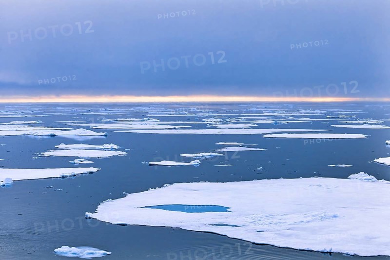Ice sheet in the polar sea in Arctic ocean, Svalbard, Norway, Europe