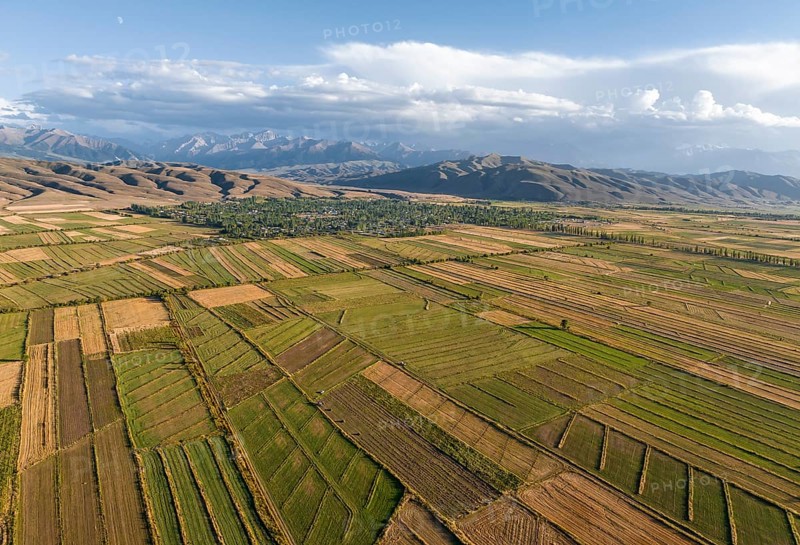 Aerial view, Cultivated fields, Agriculture, Landscape, Kyrgyzstan, Asia
