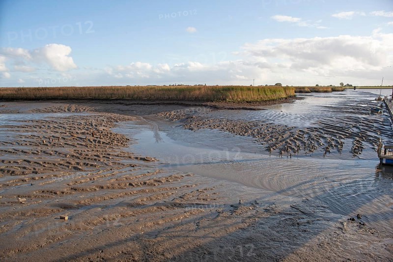 Low water, Ems, silt inflow, ferry harbour, Petkum, East Frisia, Germany, Europe