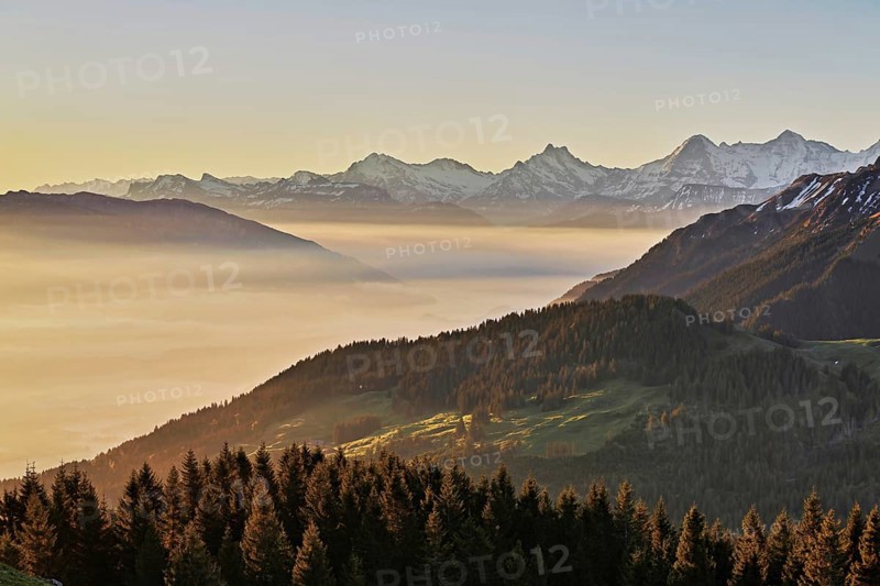 View from the Gurnigel Pass over the sea of fog behind Schreckhorn, Eiger, Mönch, Canton Bern, Switzerland, Europe