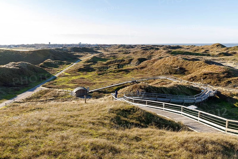 Handicapped-accessible boardwalk to the viewing dune, dune landscape in the national park, the town of Norderney in the background, Lower Saxony, Germany, Europe