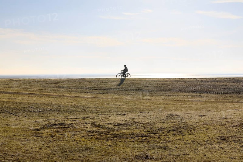 Cyclist on the south beach polder dyke, Norderney, Lower Saxony, Germany, Europe
