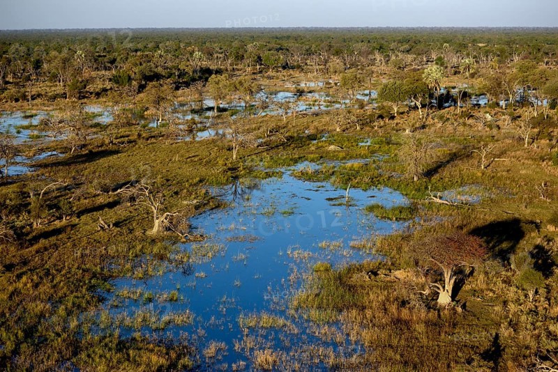 Marsh landscape, aerial view, Gomoti Plains, Okavango Delta, Botswana, Africa