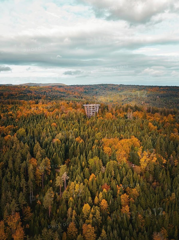 Aerial view of the observation tower treetop walk in the autumn forest, Bad Wildbad, Black Forest, Germany, Europe
