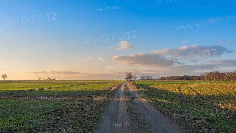 View along a country lane in the evening light, clouds, blue sky, backlight, field, landscape photo, landscape format, nature photo, close-up, nature photo, Neustadt am Rübenberge, Lower Saxony, Germany, Europe