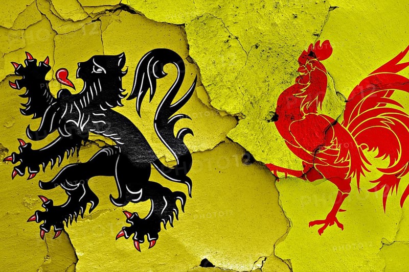 Flags of Flanders and Wallonia painted on cracked wall
